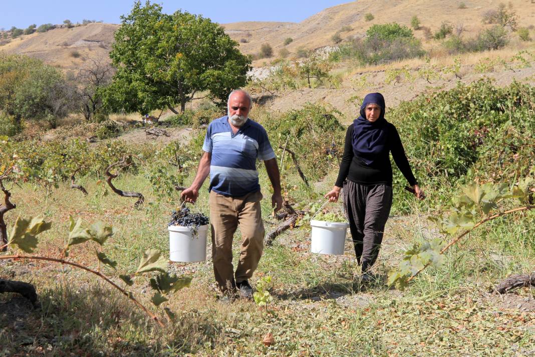 Kışın sevilen tatlısı 'orcik' için hazırlıklar başladı 8